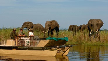 Explore Lower Zambezi National Park 
